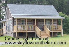 candle light cabin nestled in the pines on a private 100 acre retreat near nashville